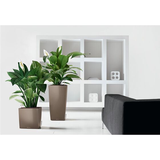 LECHUZA Cube Premium 30 Επιδαπέδια Γλάστρα 29.5x29.5x30cm Αυτοποτιζόμενη με Δοχείο Φύτευσης Γκρι-Καφέ Γυαλιστερή Γερμάνιας