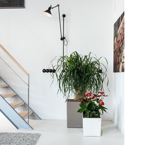 LECHUZA Cube Premium 30 Επιδαπέδια Γλάστρα 29.5x29.5x30cm Αυτοποτιζόμενη με Δοχείο Φύτευσης Λευκή Γυαλιστερή Γερμάνιας