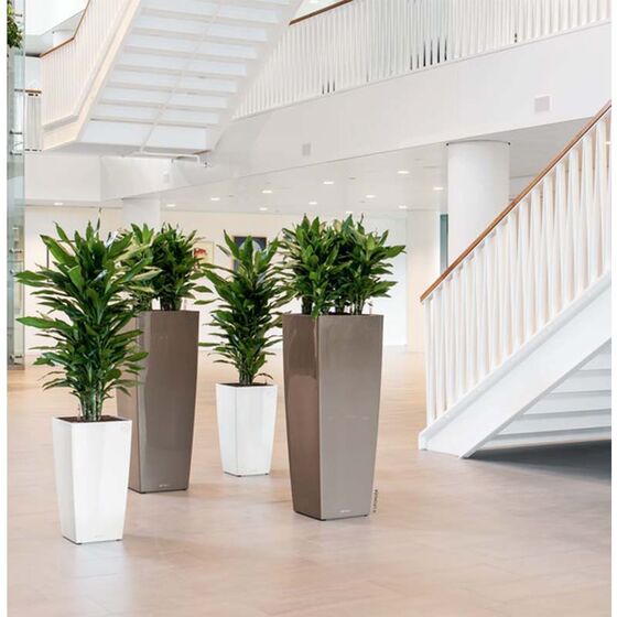 LECHUZA CUBICO ALTO 40 Premium Επιδαπέδια Γλάστρα 39.5x39.5x105cm Αυτοποτιζόμενη με Δοχείο Φύτευσης Γκρι-Καφέ Γυαλιστερή Γερμανίας