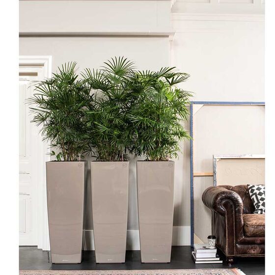 LECHUZA CUBICO ALTO 40 Premium Επιδαπέδια Γλάστρα 39.5x39.5x105cm Αυτοποτιζόμενη με Δοχείο Φύτευσης Γκρι-Καφέ Γυαλιστερή Γερμανίας