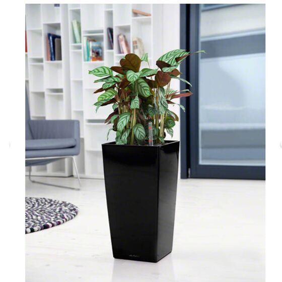 LECHUZA CUBICO 22 Premium Επιτραπέζια Γλάστρα 22x22x41cm Αυτοποτιζόμενη με Δοχείο Φύτευσης Μαύρη Γυαλιστερή Γερμανίας