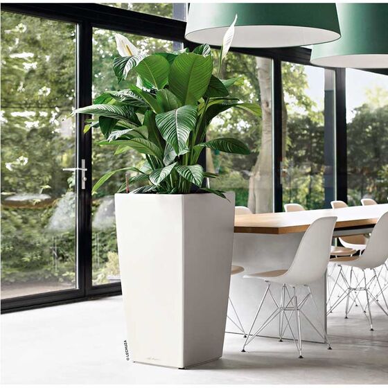 LECHUZA CUBICO 40 Premium Επιδαπέδια Γλάστρα 39.5x39.5x75.5cm Αυτοποτιζόμενη με Δοχείο Φύτευσης Λευκή Γυαλιστερή Γερμανίας