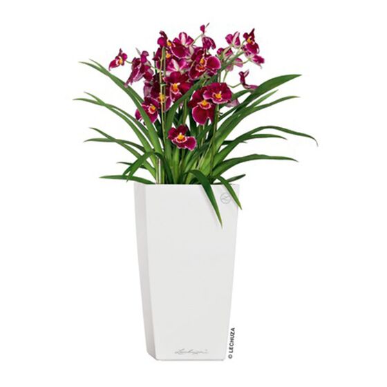 LECHUZA CUBICO 40 Premium Επιδαπέδια Γλάστρα 39.5x39.5x75.5cm Αυτοποτιζόμενη με Δοχείο Φύτευσης Λευκή Γυαλιστερή Γερμανίας