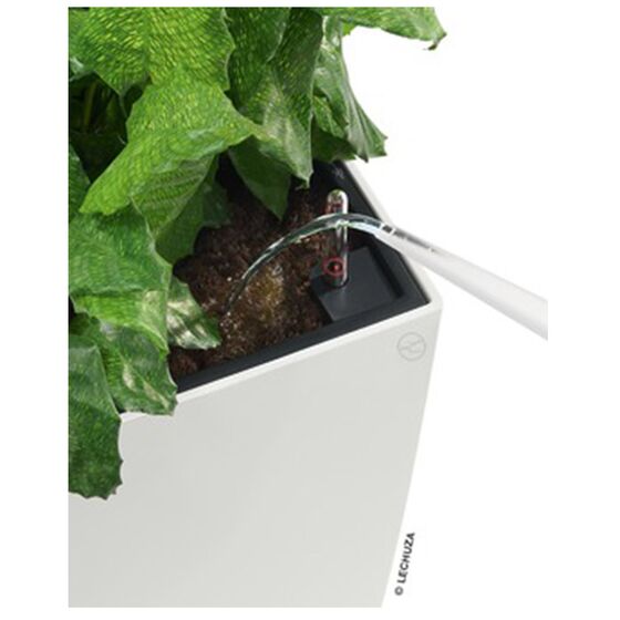 LECHUZA CARARO 75 Premium Ζαρντινιέρα Επιδαπέδια 75x30x42.5cm ΑΥΤΟΠΟΤΙΖΟΜΕΝΗ με 2 Ρόδες Λευκή Γυαλιστερή Γερμανίας