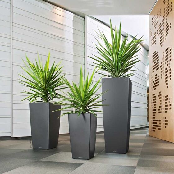 LECHUZA CUBICO 30 Premium Επιδαπέδια Γλάστρα 29.5x29.5x56.5cm Αυτοποτιζόμενη με Δοχείο Φύτευσης Ανθρακί Γυαλιστερή Γερμανίας