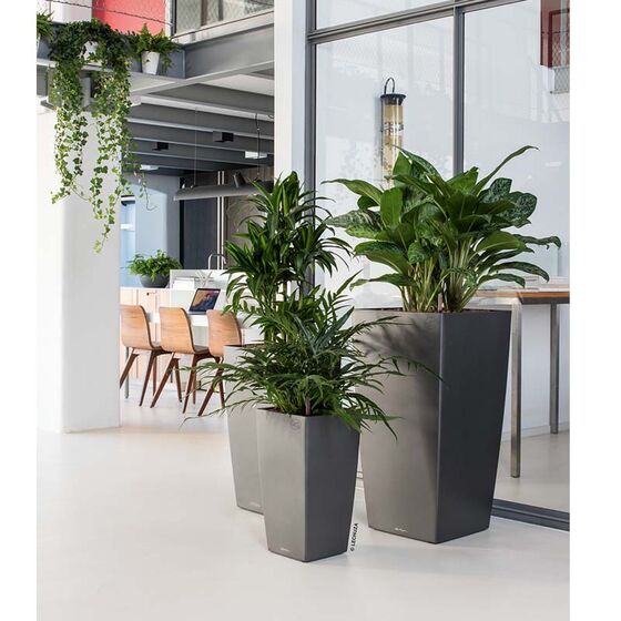 LECHUZA CUBICO 30 Premium Επιδαπέδια Γλάστρα 29.5x29.5x56.5cm Αυτοποτιζόμενη με Δοχείο Φύτευσης Ανθρακί Γυαλιστερή Γερμανίας