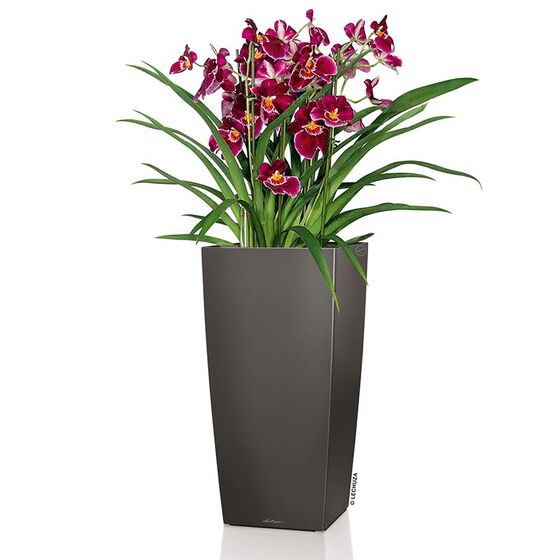 LECHUZA CUBICO 22 Premium Επιτραπέζια Γλάστρα 22x22x41cm Αυτοποτιζόμενη με Δοχείο Φύτευσης Ανθρακί Γυαλιστερή Γερμανίας