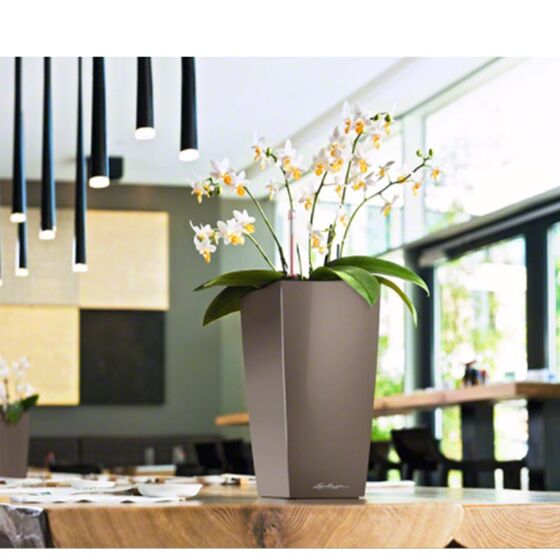LECHUZA CUBICO 22 Premium Επιτραπέζια Γλάστρα 22x22x41cm Αυτοποτιζόμενη με Δοχείο Φύτευσης Γκρι-Καφέ Γυαλιστερή Γερμανίας