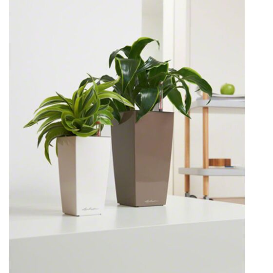 LECHUZA CUBICO 22 Premium Επιτραπέζια Γλάστρα 22x22x41cm Αυτοποτιζόμενη με Δοχείο Φύτευσης Γκρι-Καφέ Γυαλιστερή Γερμανίας