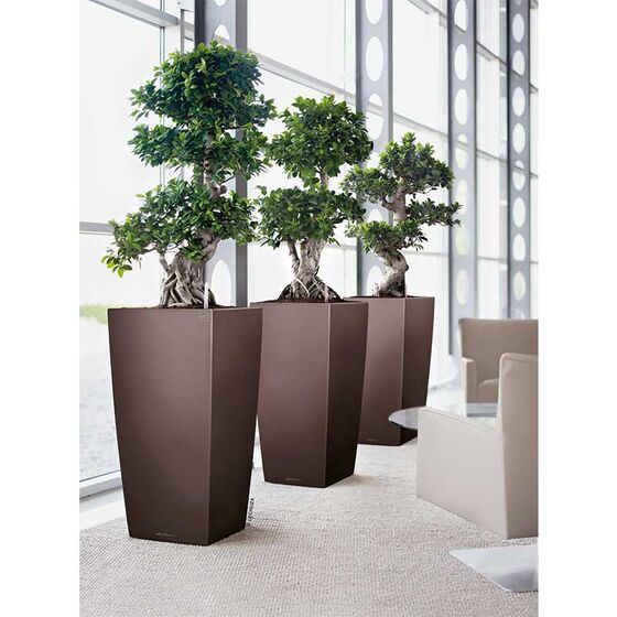 LECHUZA CUBICO 22 Premium Επιτραπέζια Γλάστρα 22x22x41cm Αυτοποτιζόμενη με Δοχείο Φύτευσης Καφέ Espresso Γυαλιστερή Γερμανίας