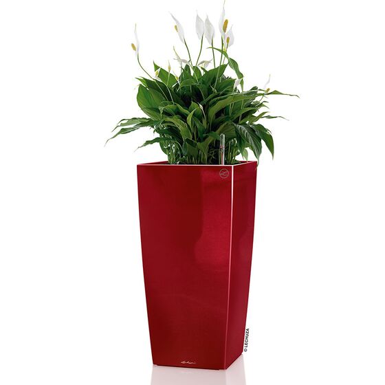 LECHUZA CUBICO 30 Premium Επιδαπέδια Γλάστρα 29.5x29.5x56.5cm Αυτοποτιζόμενη με Δοχείο Φύτευσης Μπορντό Γυαλιστερή Γερμανίας