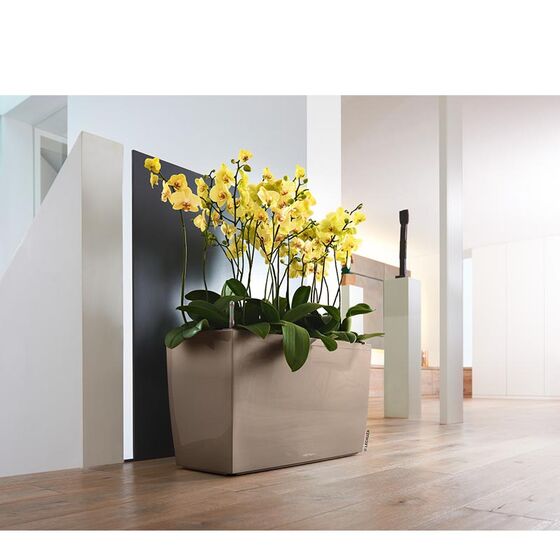 LECHUZA CARARO 75 Premium Ζαρντινιέρα Επιδαπέδια 75x30x42.5cm ΑΥΤΟΠΟΤΙΖΟΜΕΝΗ με 2 Ρόδες Γκρι-Καφέ Γυαλιστερή Γερμανίας