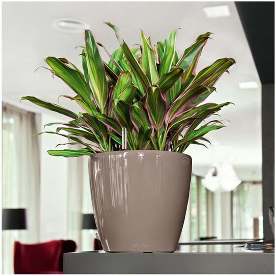 LECHUZA Classico 21 LS Επιτραπέζια Γλάστρα Ø22x20cm Αυτοποτιζόμενη με Δοχείο Φύτευσης Γκρι-Καφέ Γυαλιστερή Γερμανίας
