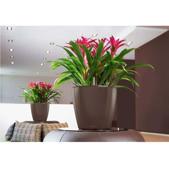 LECHUZA Classico 21 LS Επιτραπέζια Γλάστρα Ø22x20cm Αυτοποτιζόμενη με Δοχείο Φύτευσης Καφέ Espresso Γυαλιστερή Γερμανίας