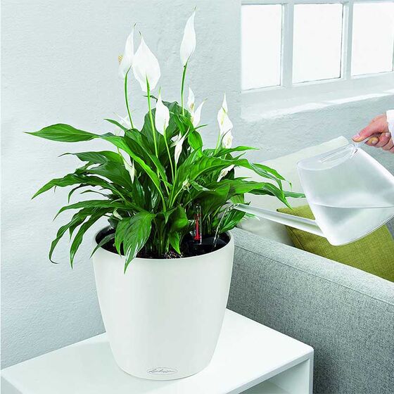 LECHUZA Classico 28 LS Premium Επιτραπέζια Γλάστρα Ø28.5x26cm Αυτοποτιζόμενη με Δοχείο Φύτευσης Λευκή Γυαλιστερή Γερμανίας