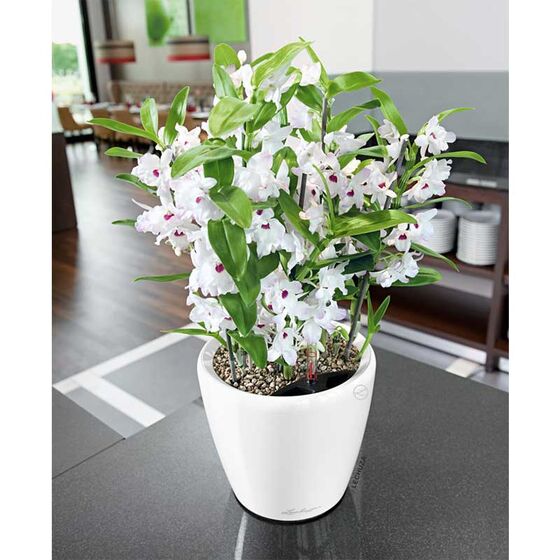 LECHUZA Classico 28 LS Premium Επιτραπέζια Γλάστρα Ø28.5x26cm Αυτοποτιζόμενη με Δοχείο Φύτευσης Λευκή Γυαλιστερή Γερμανίας