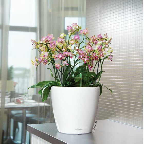 LECHUZA Classico 28 LS Premium Επιτραπέζια Γλάστρα Ø28.5x26cm Αυτοποτιζόμενη με Δοχείο Φύτευσης Λευκή Γυαλιστερή Γερμανίας