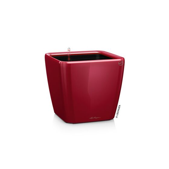 LECHUZA QUADRO 21 LS Premium Επιτραπέζια Γλάστρα 22.5x22.5x20.5cm ΑΥΤΟΠΟΤΙΖΟΜΕΝΗ με Δοχείο Φύτευσης Μπορντό Γυαλιστερή Γερμανίας