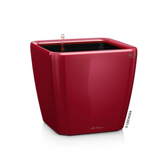 LECHUZA QUADRO 35 LS Premium Επιτραπέζια Γλάστρα 35.5x35.5x32.5cm ΑΥΤΟΠΟΤΙΖΟΜΕΝΗ με Δοχείο Φύτευσης Μπορντό Γυαλιστερή Γερμανίας