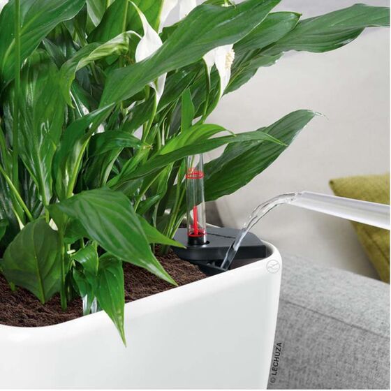 LECHUZA QUADRO 50 LS Premium Επιδαπέδια Γλάστρα 50x50x46.5cm ΑΥΤΟΠΟΤΙΖΟΜΕΝΗ με Δοχείο Φύτευσης Γκρι-Καφέ Γυαλιστερή Γερμανίας