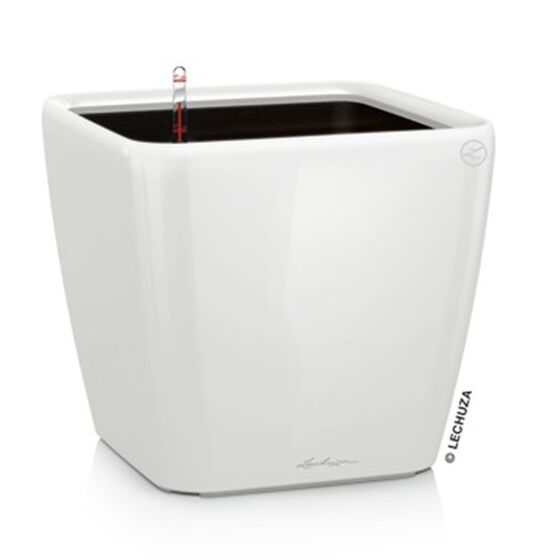 LECHUZA QUADRO 50 LS Premium Επιδαπέδια Γλάστρα 50x50x46.5cm ΑΥΤΟΠΟΤΙΖΟΜΕΝΗ με Δοχείο Φύτευσης Λευκή Γυαλιστερή Γερμανίας