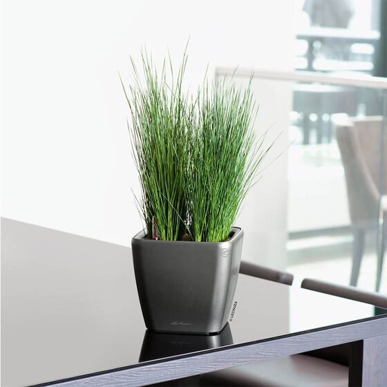 LECHUZA QUADRO 21 LS Premium Επιτραπέζια Γλάστρα 22.5x22.5x20.5cm ΑΥΤΟΠΟΤΙΖΟΜΕΝΗ με Δοχείο Φύτευσης Ανθρακί Γυαλιστερή Γερμανίας