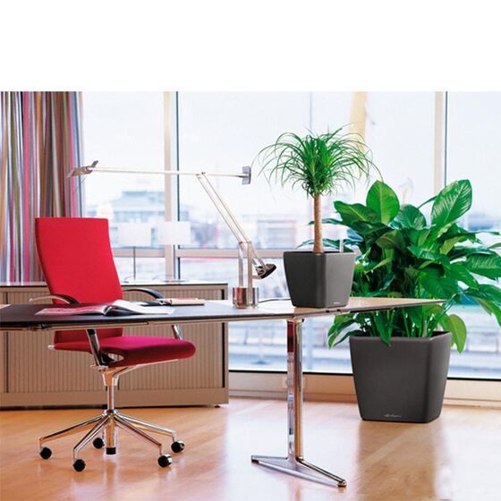 LECHUZA QUADRO 28 LS Premium Επιτραπέζια Γλάστρα 28x28x26cm ΑΥΤΟΠΟΤΙΖΟΜΕΝΗ με Δοχείο Φύτευσης Ανθρακί Γυαλιστερή Γερμανίας