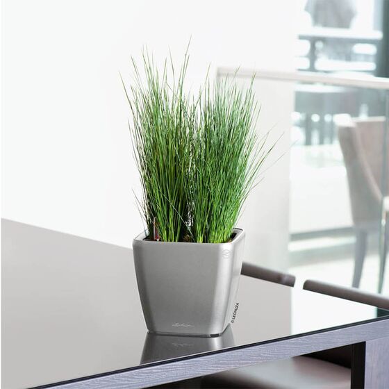 LECHUZA QUADRO 21 LS Premium Επιτραπέζια Γλάστρα 22.5x22.5x20.5cm ΑΥΤΟΠΟΤΙΖΟΜΕΝΗ με Δοχείο Φύτευσης Ασημί Γυαλιστερή Γερμανίας