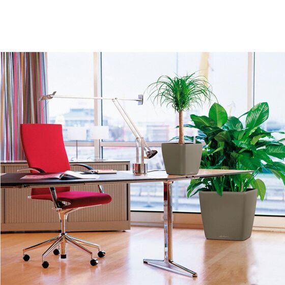 LECHUZA QUADRO 50 LS Premium Επιδαπέδια Γλάστρα 50x50x46.5cm ΑΥΤΟΠΟΤΙΖΟΜΕΝΗ με Δοχείο Φύτευσης Γκρι-Καφέ Γυαλιστερή Γερμανίας
