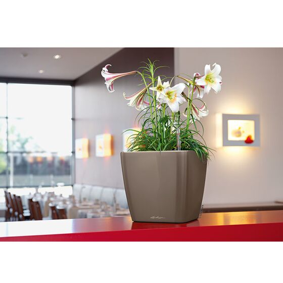 LECHUZA QUADRO 28 LS Premium Επιτραπέζια Γλάστρα 28x28x26cm ΑΥΤΟΠΟΤΙΖΟΜΕΝΗ με Δοχείο Φύτευσης Γκρι-καφέ Γυαλιστερή Γερμανίας