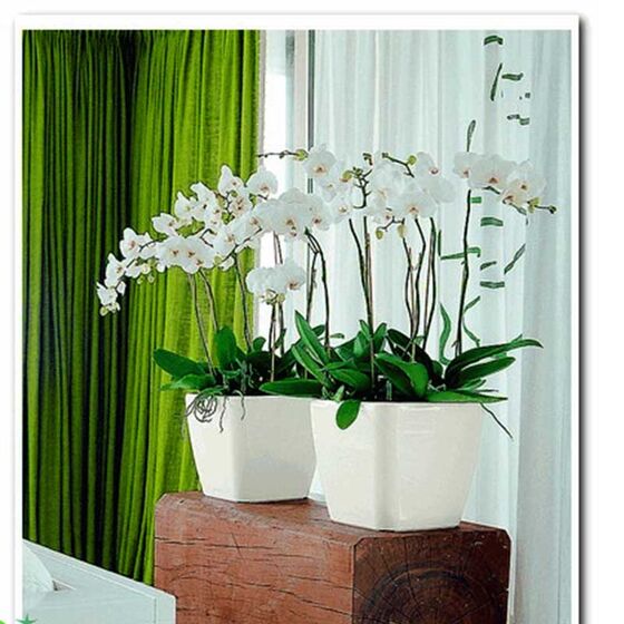 LECHUZA QUADRO 28 LS Premium Επιτραπέζια Γλάστρα 28x28x26cm ΑΥΤΟΠΟΤΙΖΟΜΕΝΗ με Δοχείο Φύτευσης Λευκή Γυαλιστερή Γερμανίας