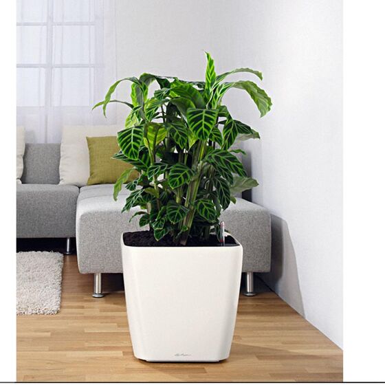 LECHUZA QUADRO 35 LS Premium Επιδαπέδια Γλάστρα 35.5x35.5x32.5cm ΑΥΤΟΠΟΤΙΖΟΜΕΝΗ με Δοχείο Φύτευσης Λευκή Γυαλιστερή Γερμανίας