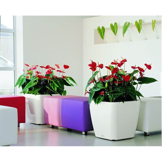 LECHUZA QUADRO 35 LS Premium Επιδαπέδια Γλάστρα 35.5x35.5x32.5cm ΑΥΤΟΠΟΤΙΖΟΜΕΝΗ με Δοχείο Φύτευσης Λευκή Γυαλιστερή Γερμανίας