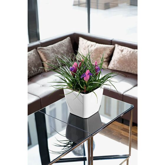 LECHUZA QUADRO 28 LS Premium Επιτραπέζια Γλάστρα 28x28x26cm ΑΥΤΟΠΟΤΙΖΟΜΕΝΗ με Δοχείο Φύτευσης Λευκή Γυαλιστερή Γερμανίας