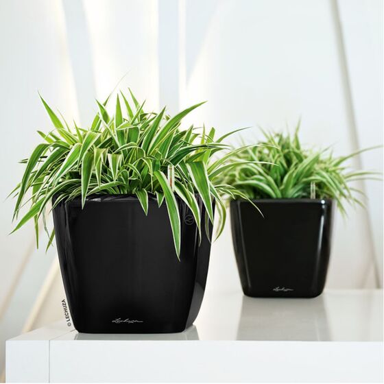 LECHUZA QUADRO 21 LS Premium Επιτραπέζια Γλάστρα 22.5x22.5x20.5cm ΑΥΤΟΠΟΤΙΖΟΜΕΝΗ με Δοχείο Φύτευσης Μαύρη Γυαλιστερή Γερμανίας