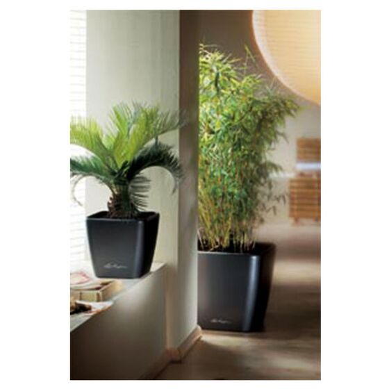 LECHUZA QUADRO 21 LS Premium Επιτραπέζια Γλάστρα 22.5x22.5x20.5cm ΑΥΤΟΠΟΤΙΖΟΜΕΝΗ με Δοχείο Φύτευσης Μαύρη Γυαλιστερή Γερμανίας