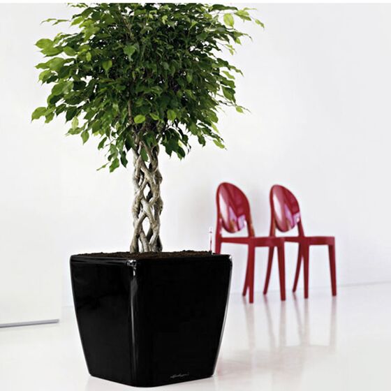 LECHUZA QUADRO 43 LS Premium Επιδαπέδια Γλάστρα 43x43x39cm ΑΥΤΟΠΟΤΙΖΟΜΕΝΗ με Δοχείο Φύτευσης Μαύρη Γυαλιστερή Γερμανίας
