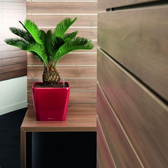 LECHUZA QUADRO 21 LS Premium Επιτραπέζια Γλάστρα 22.5x22.5x20.5cm ΑΥΤΟΠΟΤΙΖΟΜΕΝΗ με Δοχείο Φύτευσης Μπορντό Γυαλιστερή Γερμανίας