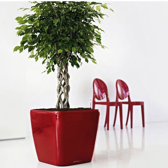 LECHUZA QUADRO 35 LS Premium Επιτραπέζια Γλάστρα 35.5x35.5x32.5cm ΑΥΤΟΠΟΤΙΖΟΜΕΝΗ με Δοχείο Φύτευσης Μπορντό Γυαλιστερή Γερμανίας