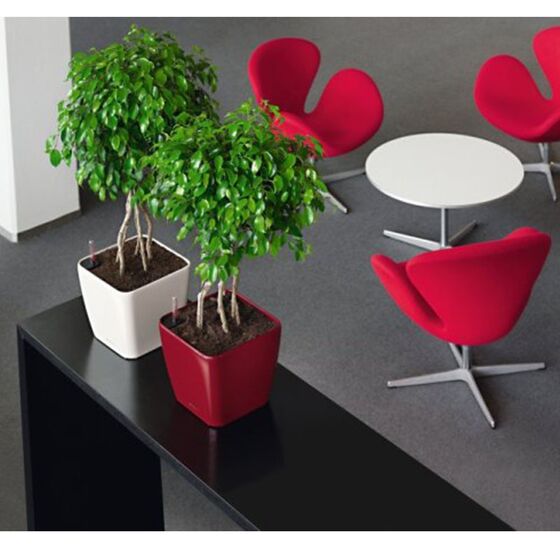 LECHUZA QUADRO 28 LS Premium Επιτραπέζια Γλάστρα 28x28x26cm ΑΥΤΟΠΟΤΙΖΟΜΕΝΗ με Δοχείο Φύτευσης Μπορντό Γυαλιστερή Γερμανίας