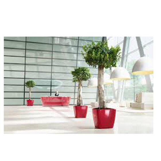 LECHUZA QUADRO 43 LS Premium Επιδαπέδια Γλάστρα 43x43x39cm ΑΥΤΟΠΟΤΙΖΟΜΕΝΗ με Δοχείο Φύτευσης Μπορντό Γυαλιστερή Γερμανίας