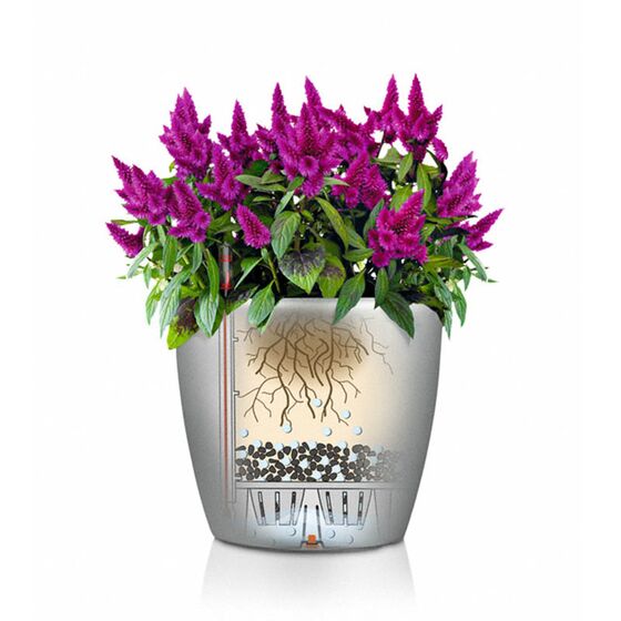 LECHUZA Classico 21 LS Επιτραπέζια Γλάστρα Ø22x20cm Αυτοποτιζόμενη με Δοχείο Φύτευσης Καφέ Espresso Γυαλιστερή Γερμανίας