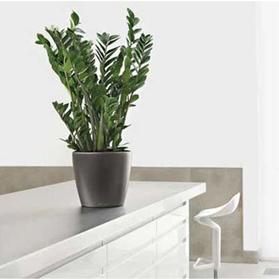 LECHUZA Classico 28 LS Premium Επιτραπέζια Γλάστρα Ø28.5x26cm Αυτοποτιζόμενη με Δοχείο Φύτευσης Ανθρακί Γυαλιστερή Γερμανίας