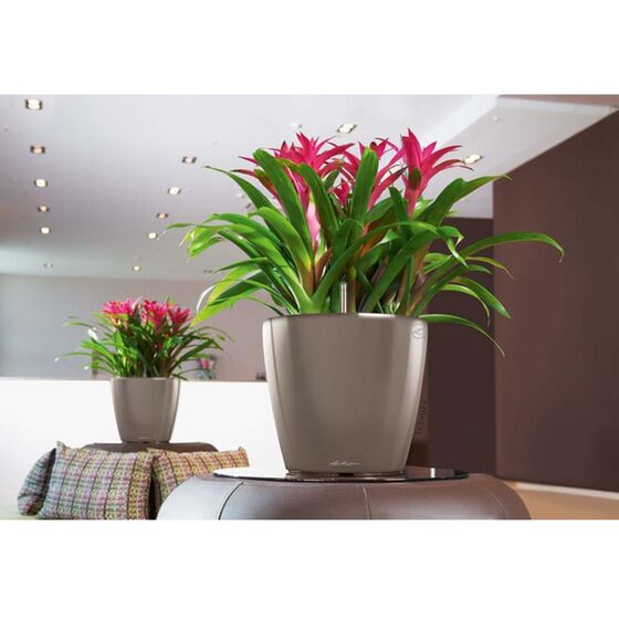LECHUZA Classico 28 LS Premium Επιτραπέζια Γλάστρα Ø28.5x26cm Αυτοποτιζόμενη με Δοχείο Φύτευσης Γκρι-Καφέ Γυαλιστερή Γερμανίας