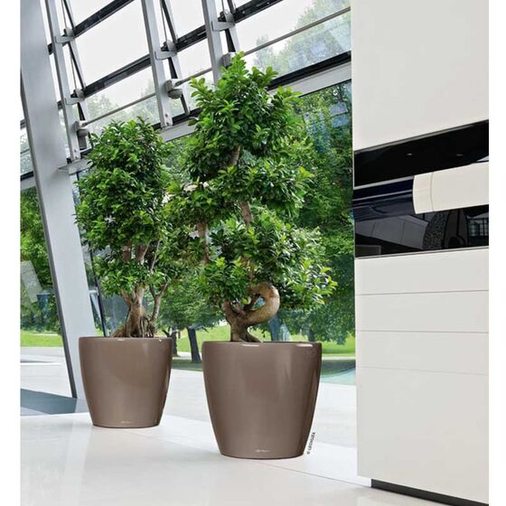 LECHUZA Classico 60 Premium Ø60x55.5cm Απλή Γλάστρα Χωρίς Σύστημα Αυτόματου ποτίσματος Γκρι-Καφέ Γυαλιστερή Γερμανίας