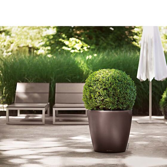 LECHUZA Classico 43 LS Premium Επιδαπέδια Γλάστρα Ø43.5x39.5cm Αυτοποτιζόμενη με Δοχείο Φύτευσης Καφέ Espresso Γυαλιστερή Γερμανίας