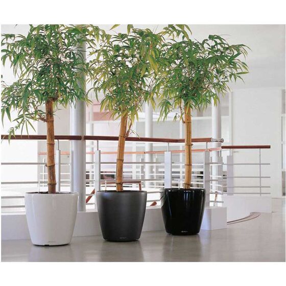 LECHUZA Classico 60 Premium Ø60x55.5cm Απλή Γλάστρα Χωρίς Σύστημα Αυτόματου ποτίσματος Λευκή Γυαλιστερή Γερμανίας