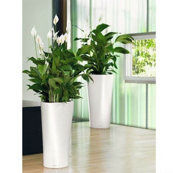 LECHUZA Delta 30 Premium Επιδαπέδια Γλάστρα Ø29x56.5cm Αυτοποτιζόμενη με Δοχείο Φύτευσης Λευκή Γυαλιστερή Γερμανίας