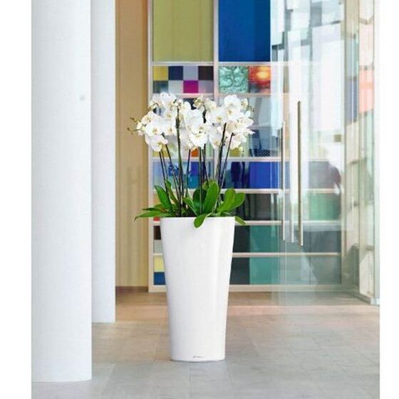 LECHUZA Delta 30 Premium Επιδαπέδια Γλάστρα Ø29x56.5cm Αυτοποτιζόμενη με Δοχείο Φύτευσης Λευκή Γυαλιστερή Γερμανίας