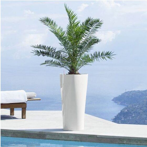 LECHUZA Delta 30 Premium Επιδαπέδια Γλάστρα Ø29x56.5cm Αυτοποτιζόμενη με Δοχείο Φύτευσης Λευκή Γυαλιστερή Γερμανίας